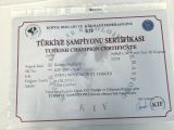 Şampiyonun Oğlu