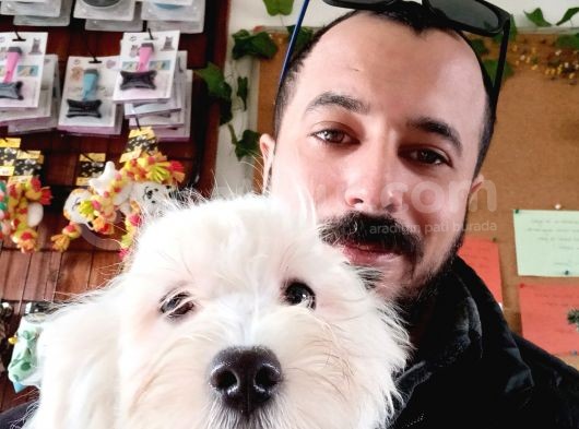 Bembeyaz Maltese Terri̇er 0 Numara görsel