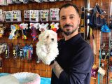 Bembeyaz Maltese Terri̇er 0 Numara