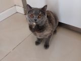5 Aylık Adı Gibi Tüyleri Pamuk