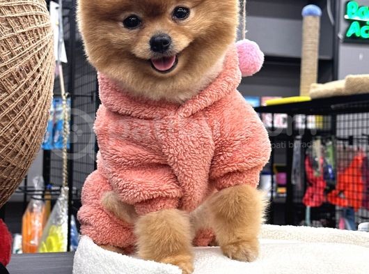 Teddy Surat Yeti̇şki̇n Güzeller Güzeli̇ Kizimiz görsel