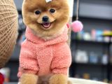 TEDDY SURAT YETİŞKİN GÜZELLER GÜZELİ KIZIMIZ