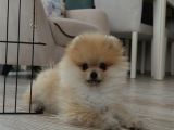Ares