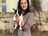 French buldog yavrulatım sağlık ve ırk garantilidir