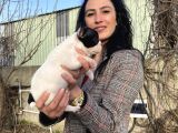 French Buldog Yavrulatım Sağlık Ve Irk Garantilidir