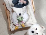 Eği̇ti̇mli Asili 3 Ayli̇k Samoyed
