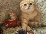 Muhteşem Güzelli̇kte Yavrularımız