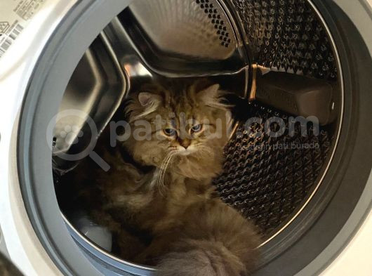 Oğlumuza Yeni Yuva görsel