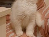 2 Buçuk Aylık Minnaklara Yuvaaa