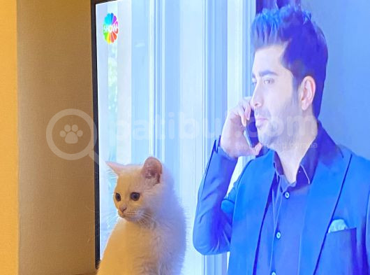 2 Buçuk Aylık Minnaklara Yuvaaa görsel