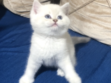 Mavi Gözlü Bebişlerimiz