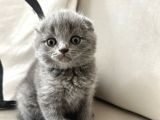 Minik Bebeklerimiz