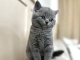 Minik Bebeklerimiz