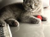 Minik Bebeklerimiz