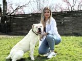 Ameri̇can Bulldog Scr Li̇ Asi̇l Kral