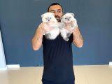 En Güzel British Shorthair Yavrularimiz Fenomen Pets Ankara