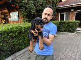 Birinci Sınıf Rottweiler Yavruları