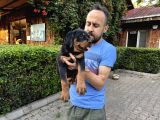 Birinci Sınıf Rottweiler Yavruları