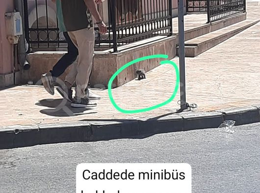 Minik Yavru Yuvasını Arıyor görsel
