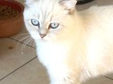 Kızlarımıza Yuva Arıyoruz