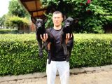 Siyah Alman Çoban Köpeği Yavrularımız