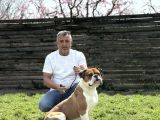 Dünyanın En Güçlü Köpeği Amerikan Bulldog