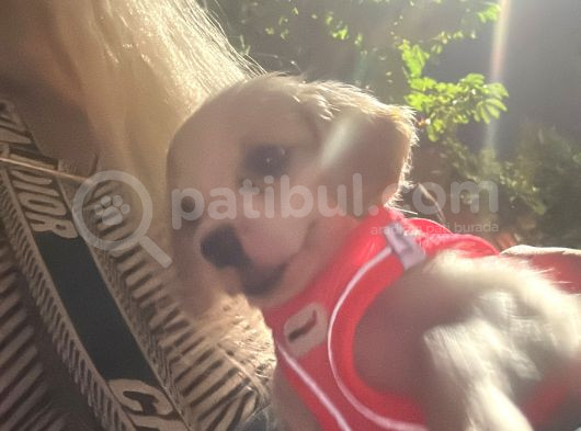 2 Aylık Çok Akıllı Bir Bebek görsel