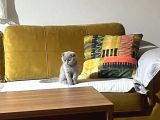 Güzeller Güzeli