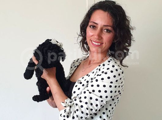 Fci̇ Scr Li̇ Anne Babadan Black Poodle Yavrularimiz görsel