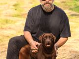 Show Line Secereli Labrador Retriever