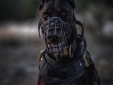Bir Dobermanınız Var Ise Emanet Taşımanıza Gerek Yok