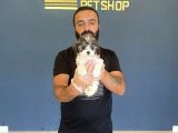 Wc Egi̇ti̇mli̇ Orji̇nal Morki̇e Yavrularimiz Magazada Canli Görün