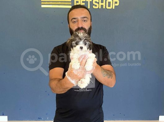 Wc Egi̇ti̇mli̇ Orji̇nal Morki̇e Yavrularimiz Magazada Canli Görün görsel