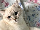 9 Günlük Yeni Bebeklerimiz
