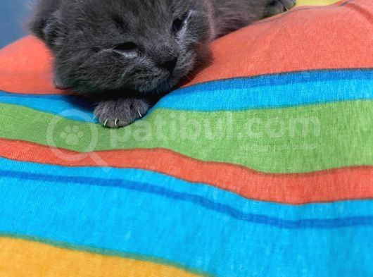 9 Günlük Yeni Bebeklerimiz
