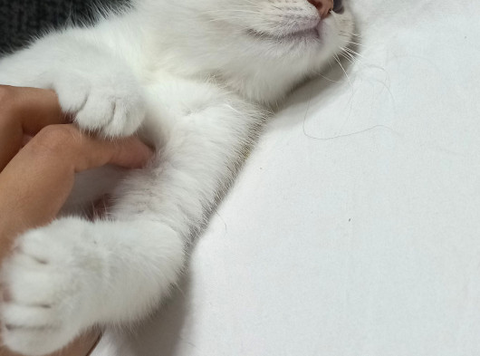 Cok Uyguna Sahi̇plendi̇ri̇lecekti̇r  görsel