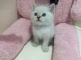 Boncuk Gözlü Erkek Bebeğimiz