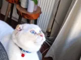 1 Buçuk Yaşında Erkek