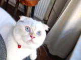 1 buçuk yaşında erkek