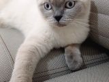 Di̇şi̇ Saki̇n Uysal Oyuncu Kizimiz Sahi̇bi̇ni̇ Bekli̇yor