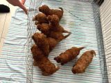 En küçük boy orjinal toy poodle yavrum