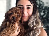 POFUDUK TOY POODLE