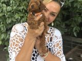 Efsane Oyuncu Sevimli Toy Poodle Yavrularımız
