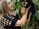 Macar Koca Kafa Efsane Rottweiller Yavrularımız