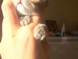 Bu kadar oyuncusu ve cana yakını az bulunur