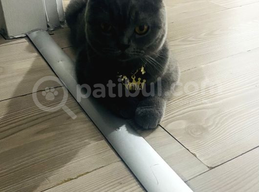 1 Yasında Ilk Dogumunu Yapmıstır görsel