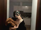 Erkek Toy Poodle 