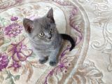 Yeni̇ Yuvasina Gi̇tmeye Hazir Bi̇r Mi̇nnak
