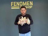 SHOW KALİTE JUCK RUSSULL YAVRULARI DİŞİ ERKEK ANKARA