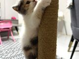 3 Aylık Dişi Tuvalet Eğitimi Var